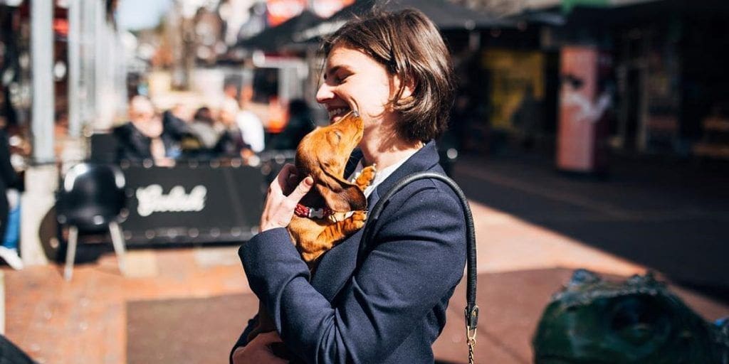 Most Engaged NZ Politicians on Instagram and their Top Performing Posts 