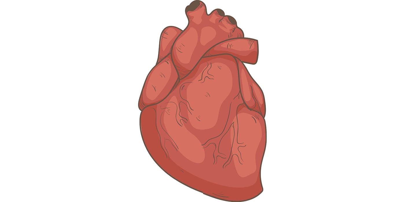 Healthy Heart?
