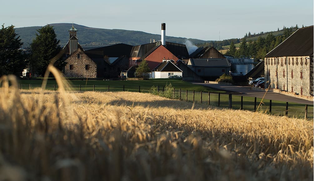 This Valley Makes all the Best Whisky