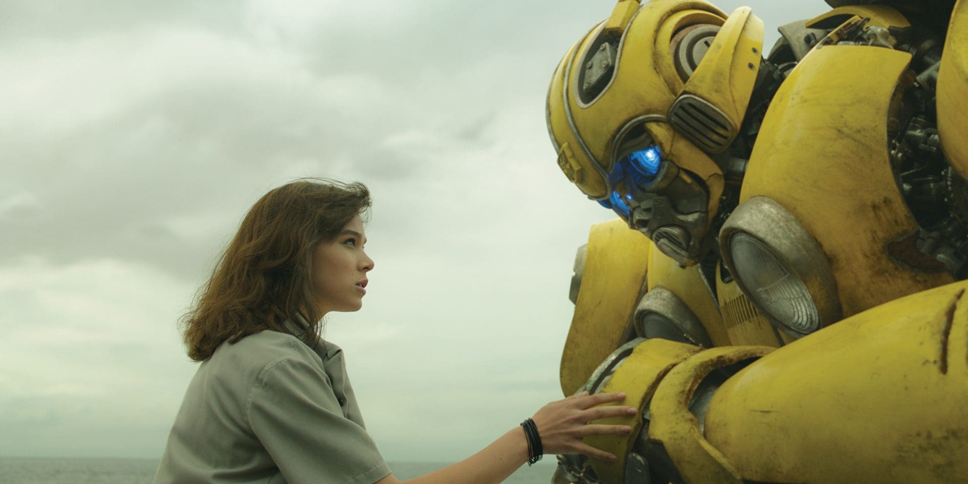 Bumblebee