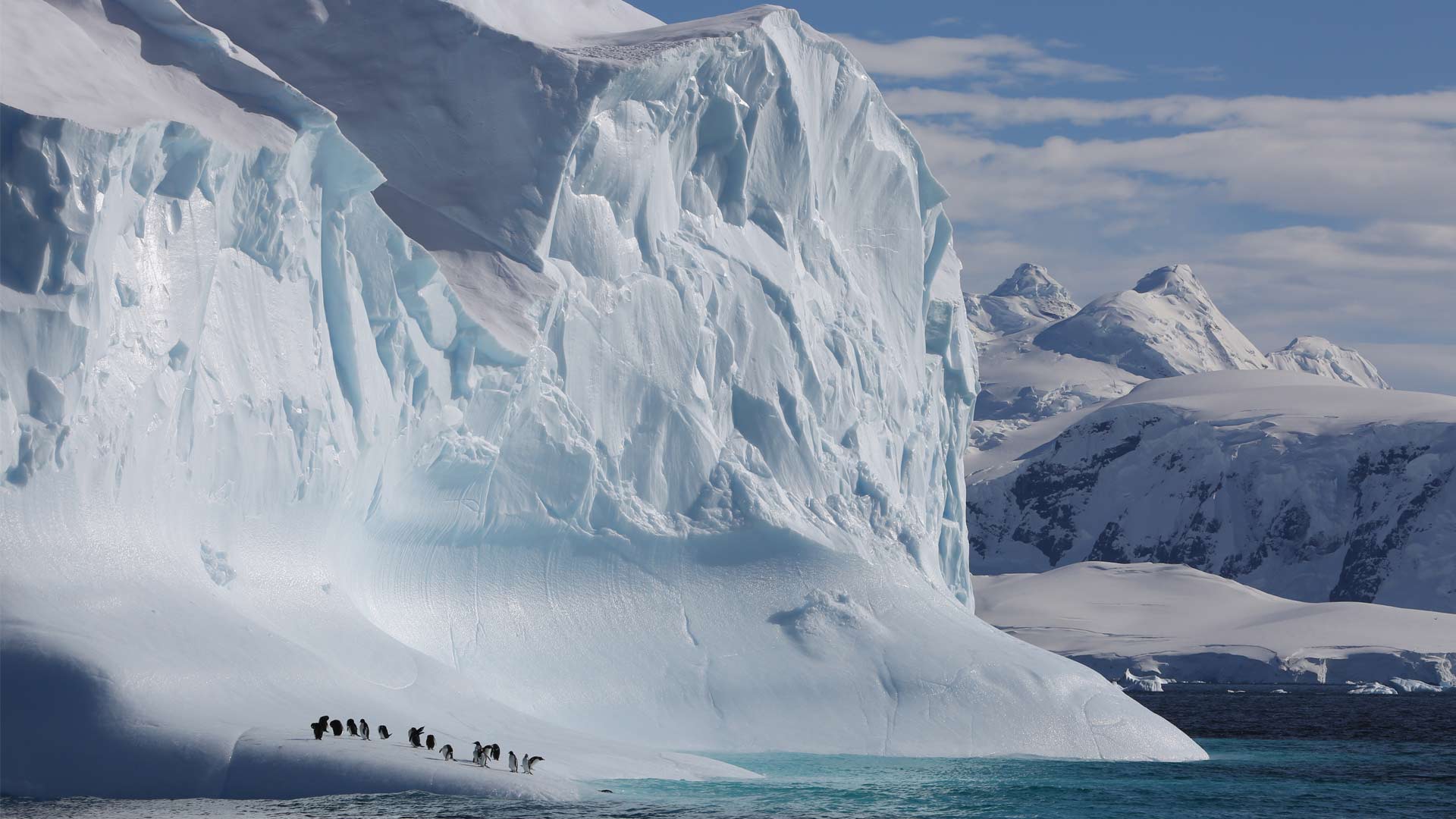 An Antarctic Spring