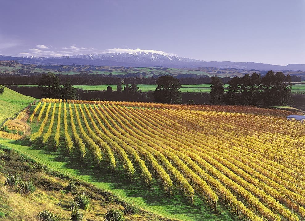 Why Have One Fine Wine When You Can Have A Portfolio Of Them?