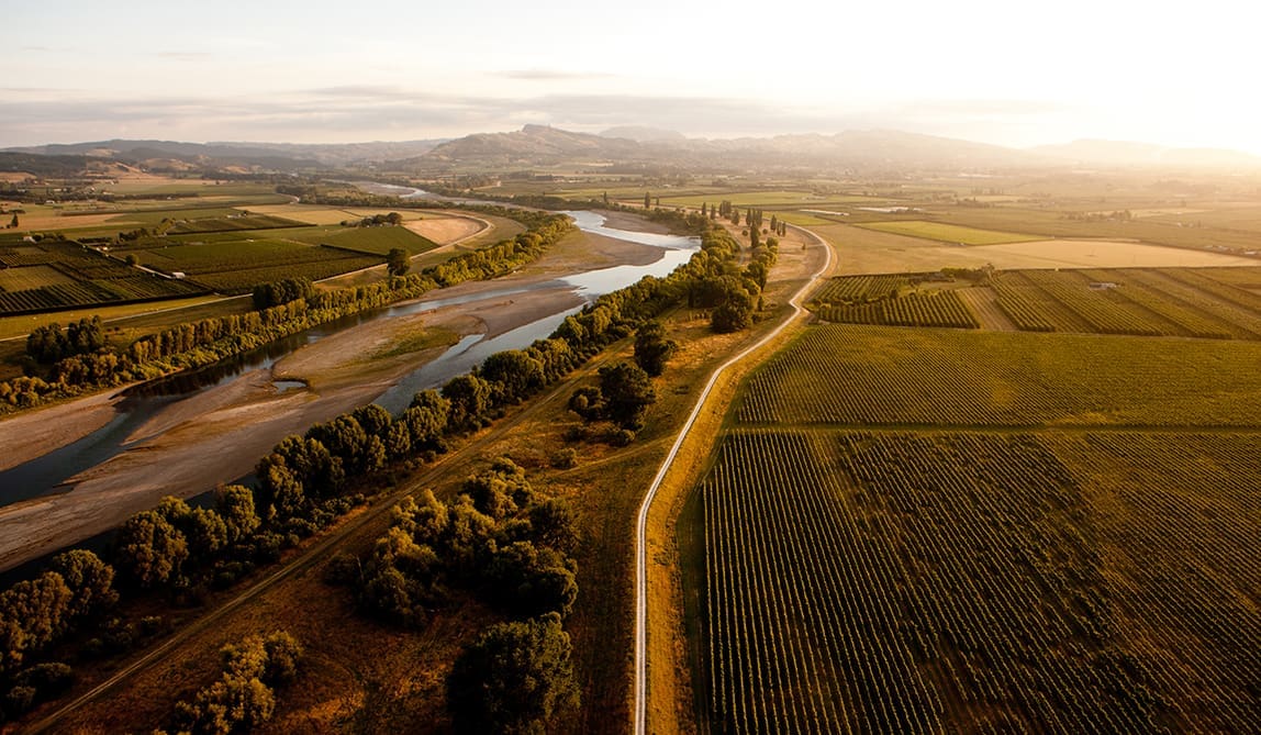 Get In A Taste Of Summer With Te Mata Estate
