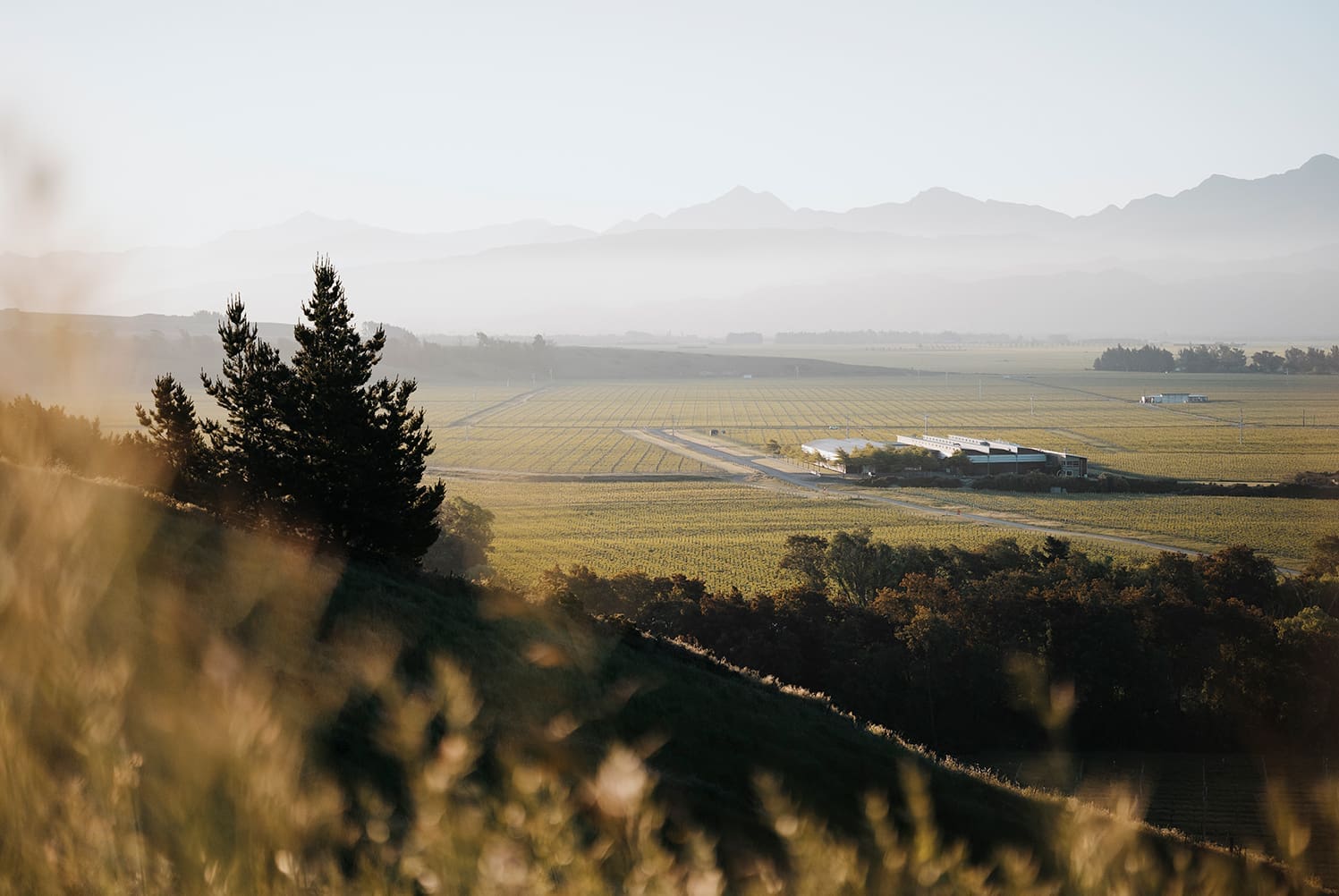 007 Secrets to Building A Sustainable Wine Brand