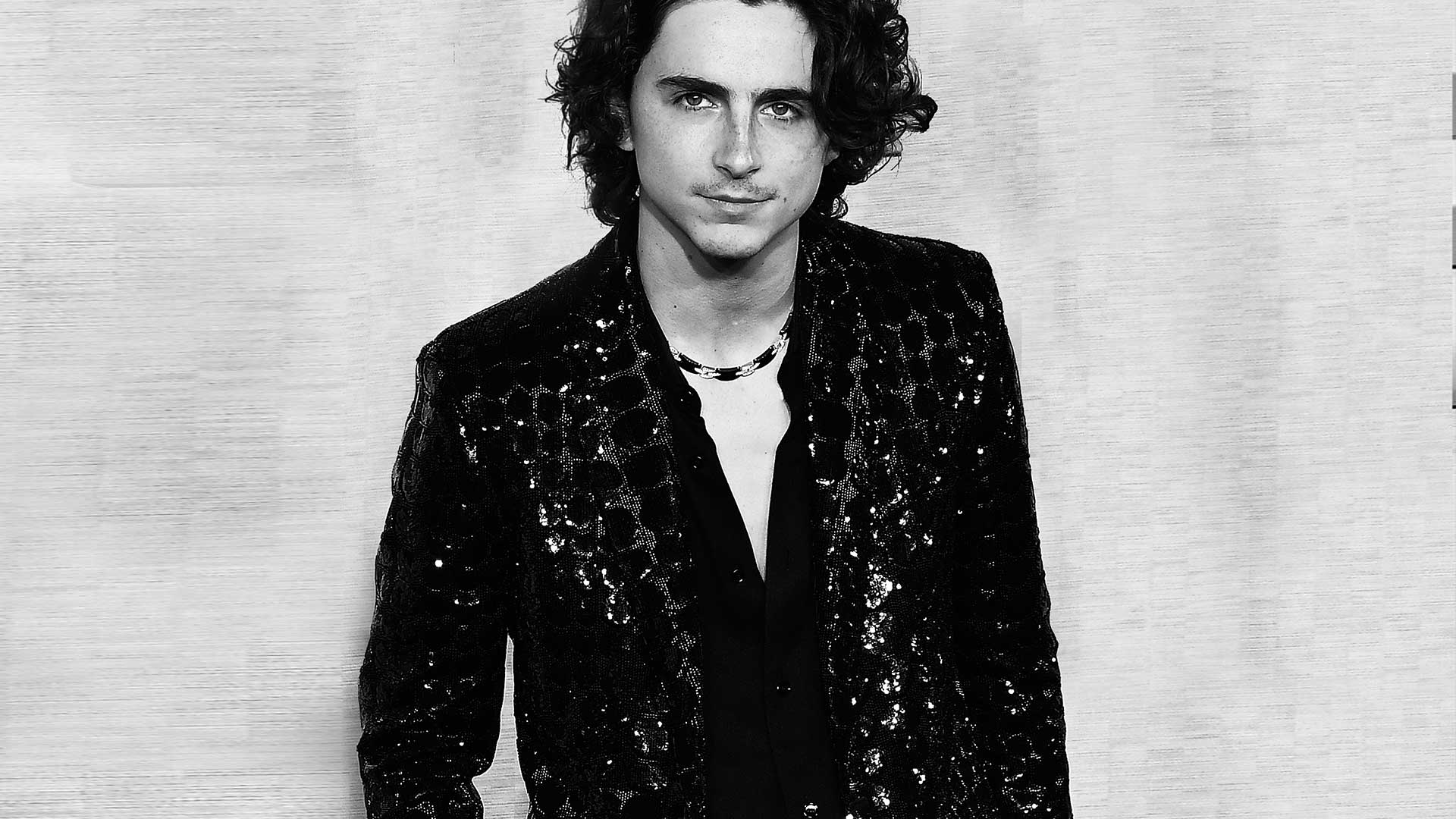 Timothée Chalamet: The New Hollywood Leading Man