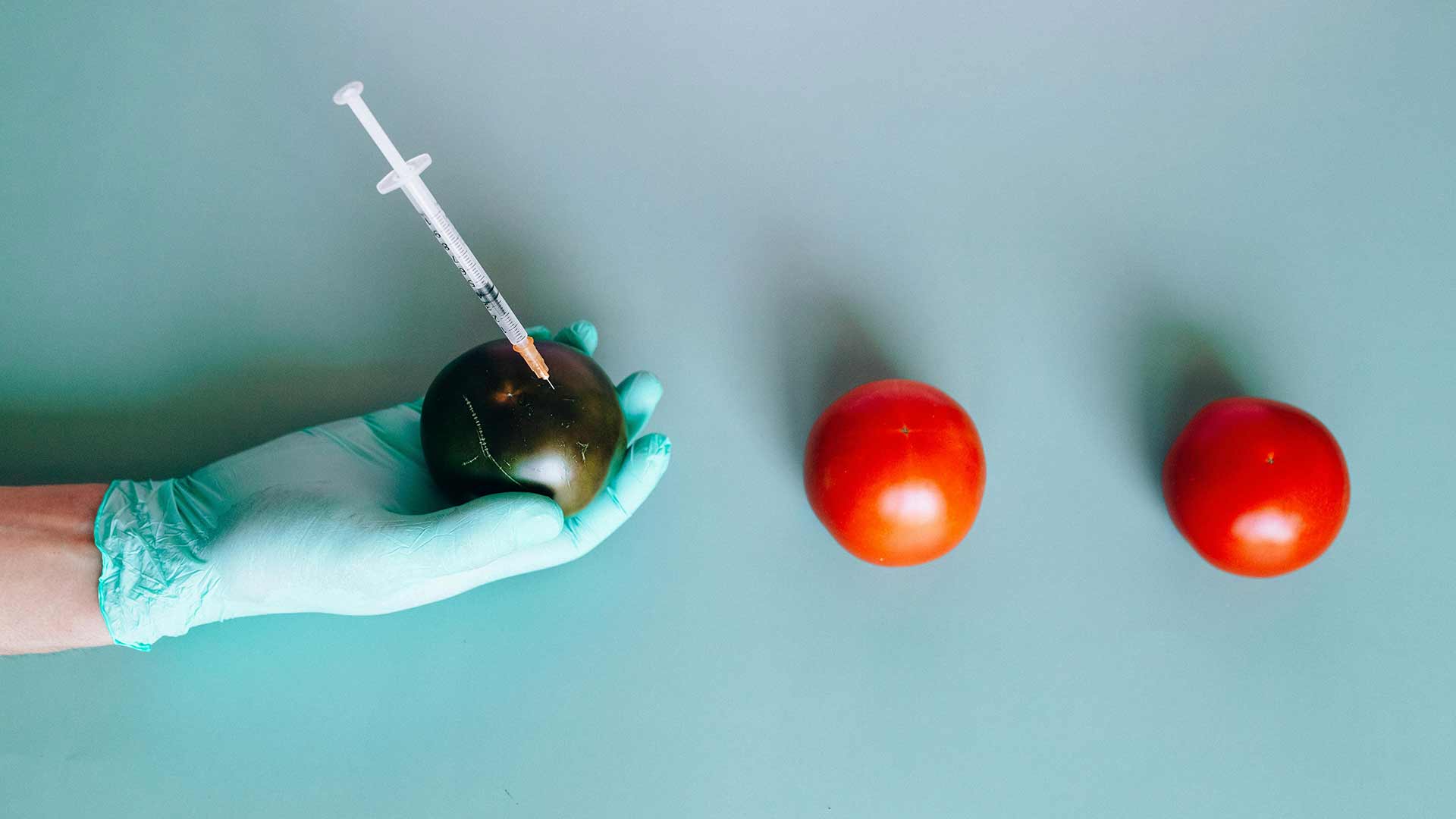 Making GMOs User-Friendly: The CRISPR Rebrand