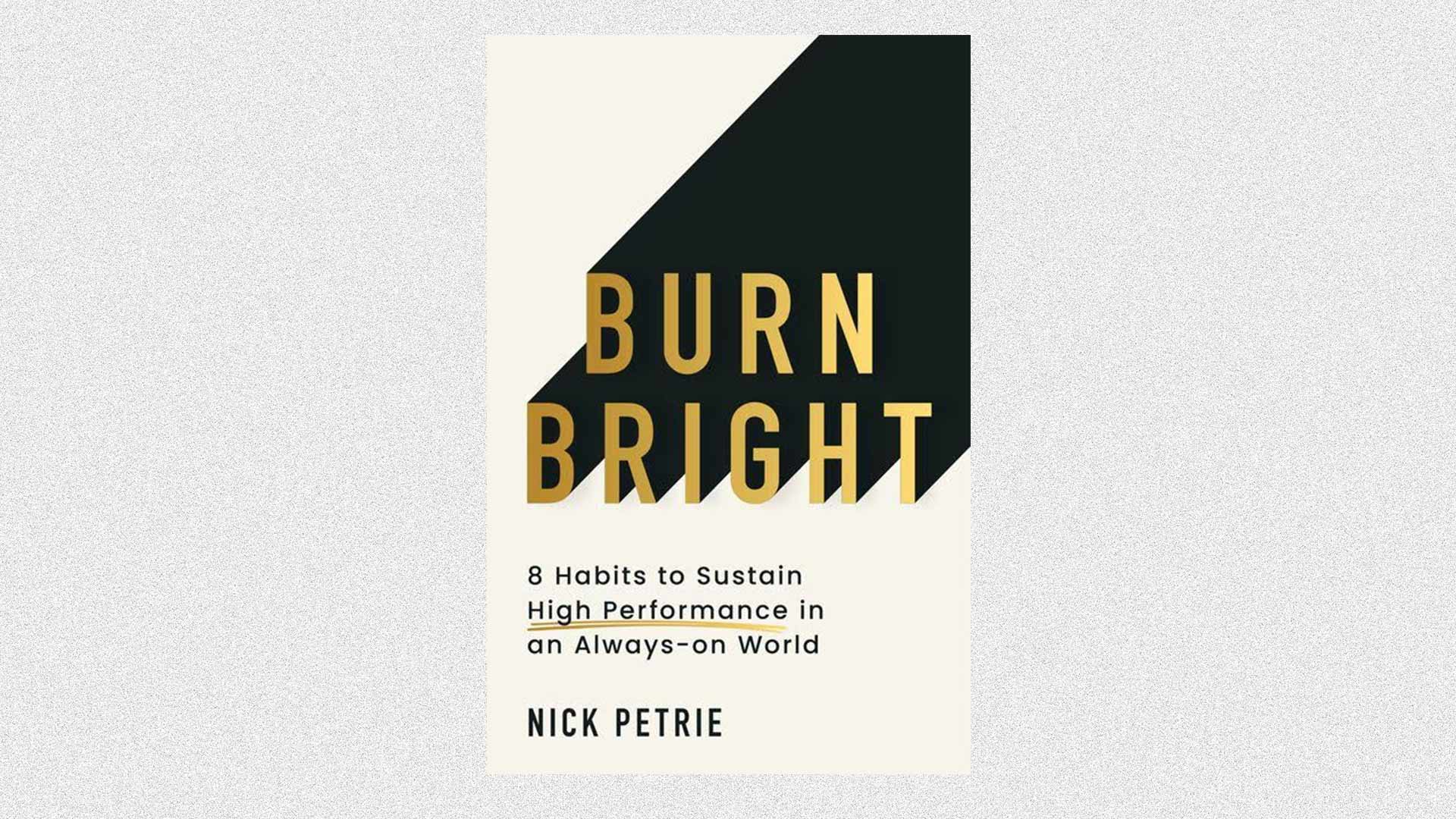 Book Review Burn Bright By Nick Petrie