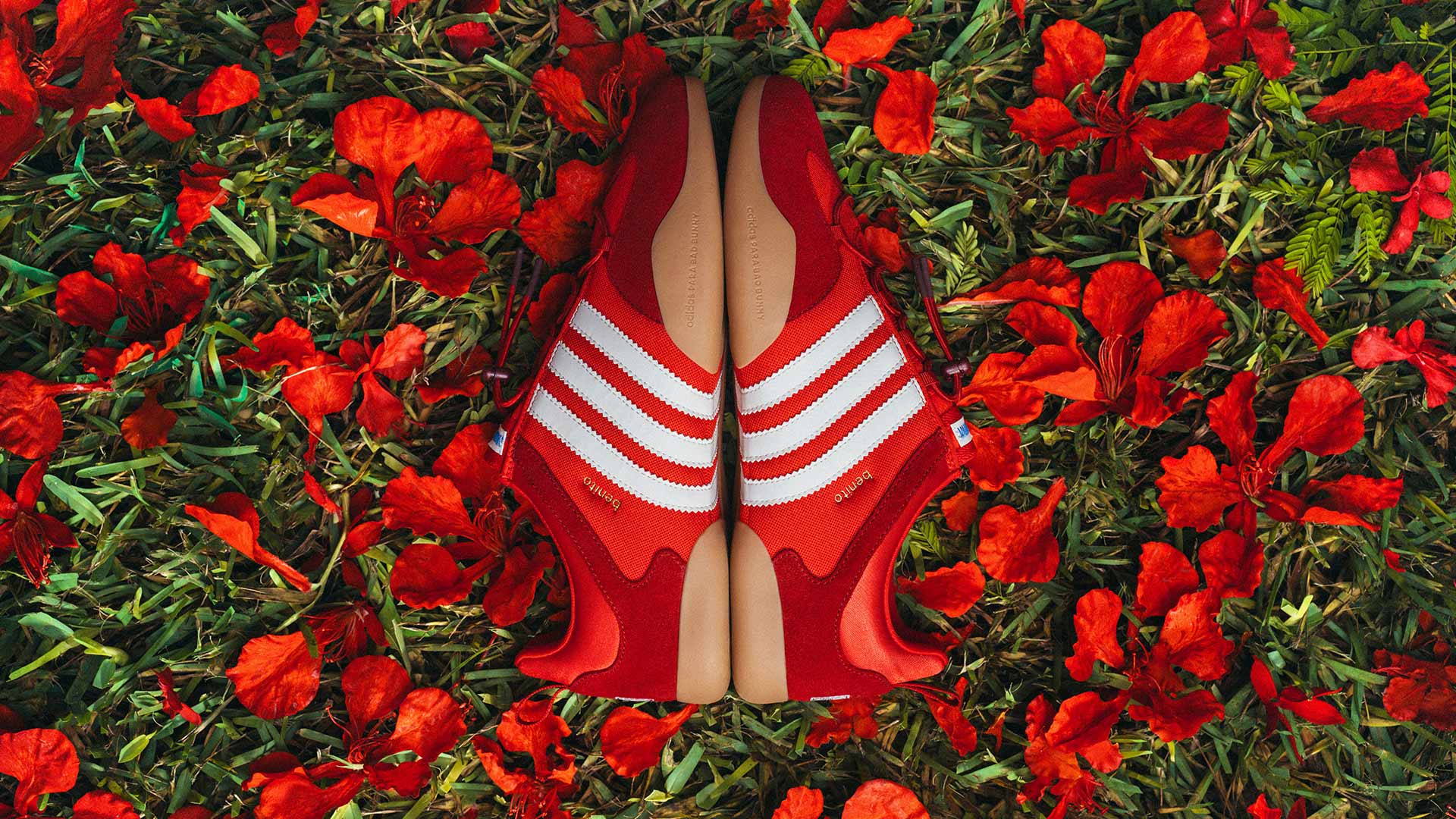Adidas x Bad Bunny Ballerina